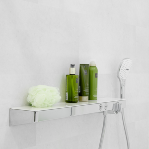 Hansgrohe Raindance Select E120 handdouche