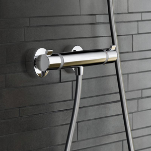 Hansgrohe Ecostat robinet de douche