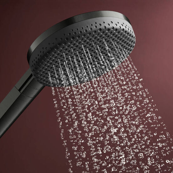 Hansgrohe Raindance Alive Select S 125 Handbrause-Set 3 Strahlfunktionen Brushed Black Chrome