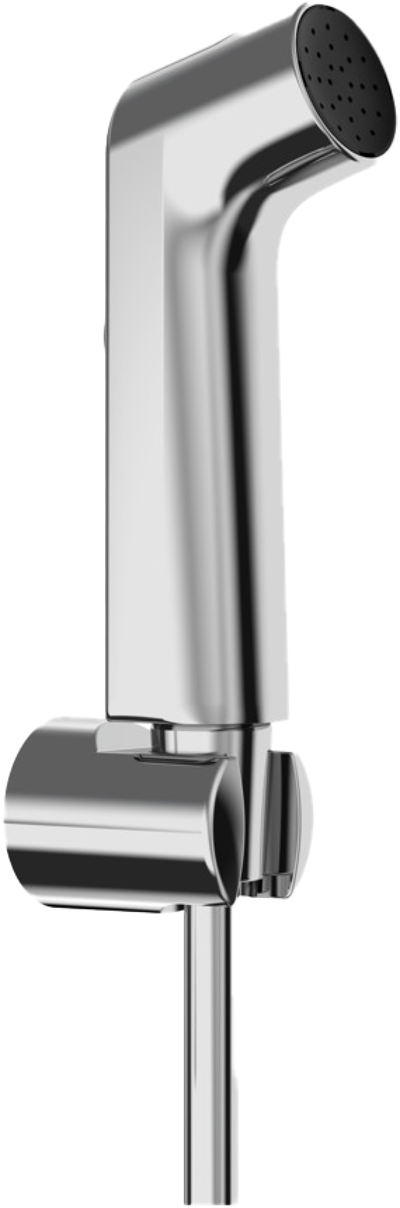 Hansgrohe bidet handdouche