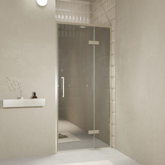Balmani Senses Design porte pivotante à droite 100 cm x 210 cm verre Miroir Reflex, Profil Brushed CoolMetal, coating inclus