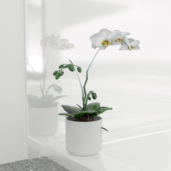 Linie Wall set douchewandbekleding 120 x 90 x 220 cm acryl glanzend wit