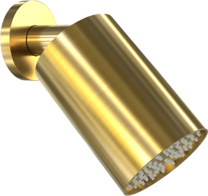 Blaufoss Luxor 90 Tête de douche rond 14 x 9 cm avec support mural brushed gold