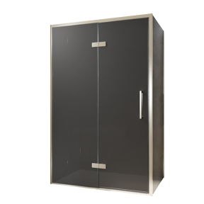 Balmani Senses Design douchehoek met linkse draaideur en vaste zijwand, 120 x 80 cm, Rookglas, Brushed CoolMetal profielen