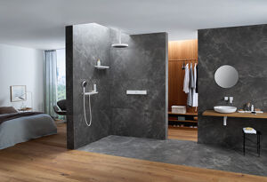 Hansgrohe Rainfinity 360 hoofddouche