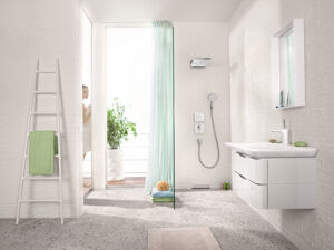Hansgrohe Raindance Handbrause