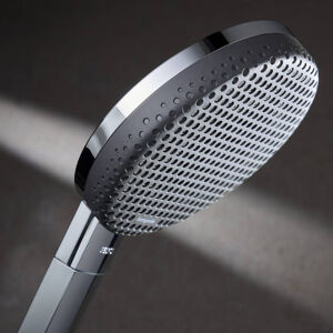 Hansgrohe Raindance Alive Select S 125 Handbrause-Set