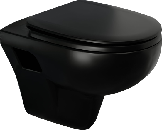 Linie Enzo mat zwart randloos met luxe wc-bril