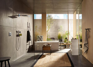 Hansgrohe Raindance Handbrause