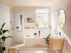 Hansgrohe Rebris Duschmischer