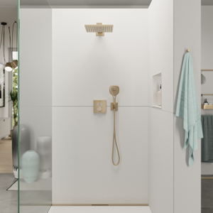 Hansgrohe Raindance Select E120 douchette