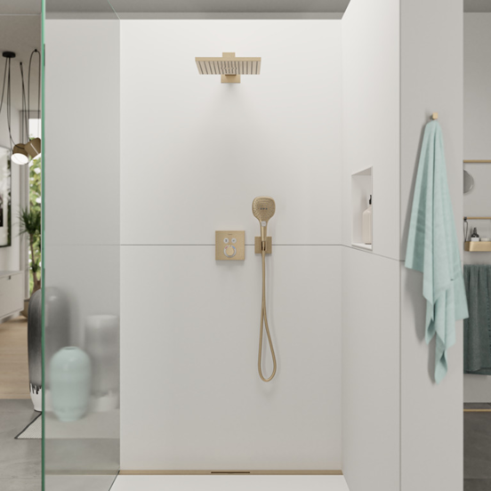 Hansgrohe Raindance Select E 120 handdouche 3 straalsoorten Brushed Bronze