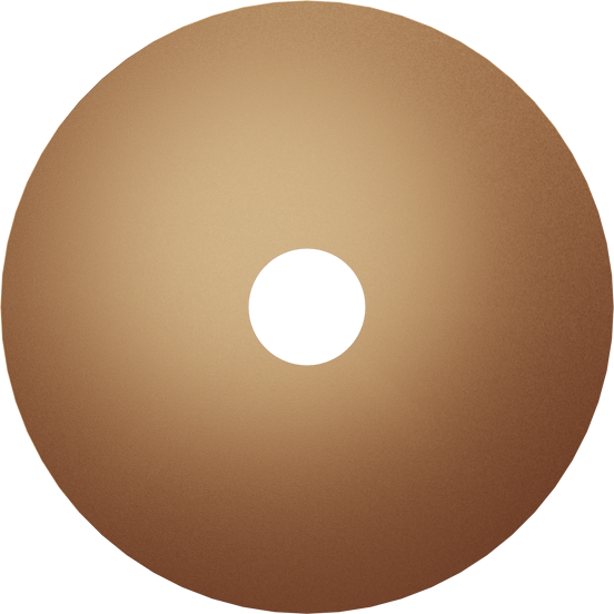 Balmani Pelota Disc LED verlichting 16 cm rosegold