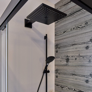 Hansgrohe Raindance E300 Kopfbrause