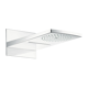 Hansgrohe Raindance Rainfall tête de douche