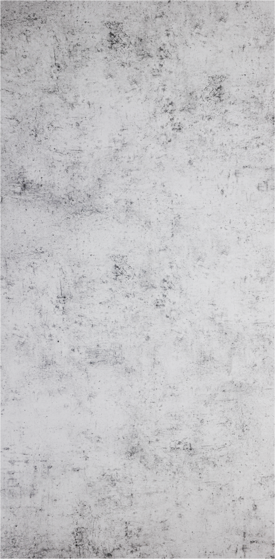 Luca Varess Artdeco revêtement mural de douche 120 x 244 cm alu-composite béton gris