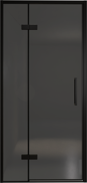 Balmani Senses Design porte pivotante à gauche 100 cm x 210 cm verre fumé, Profil noir, coating inclus