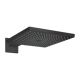Hansgrohe Raindance E300 Kopfbrause