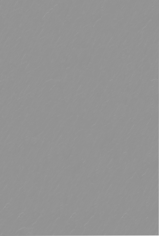 Balmani Zeno douchewandpaneel 140 x 220 cm composietmarmer donkergrijs leisteenstructuur