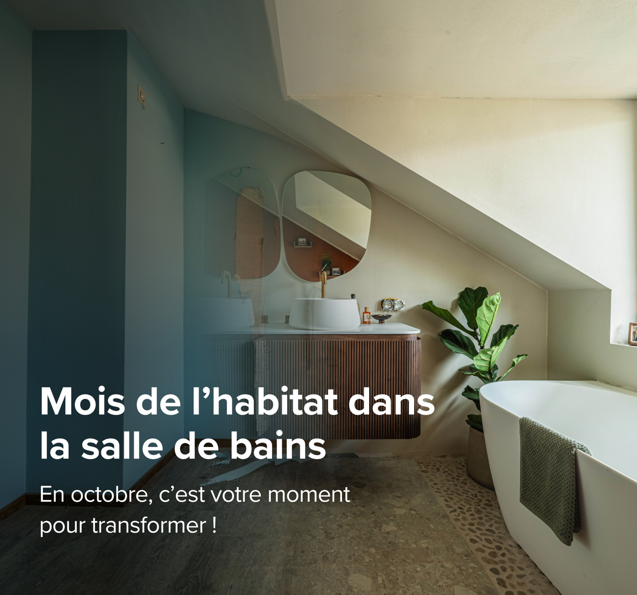 Salle de bains chaleureuse avec meuble en bois, miroirs design et plante verte pour le mois de l’habitat.