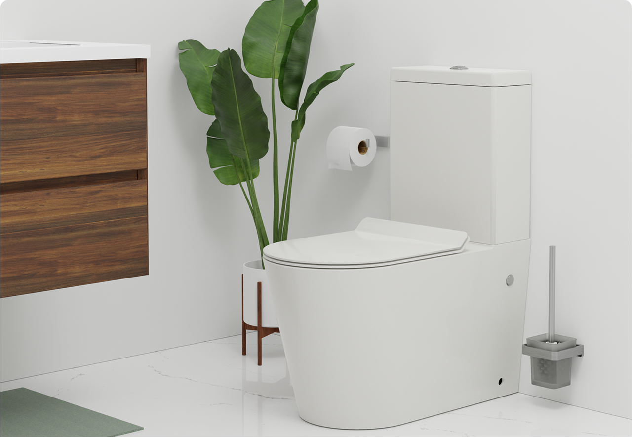 Toilette à poser