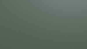 forest.png