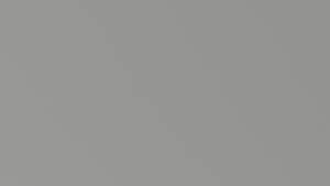 stone_grey.png
